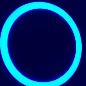 Meet your Posher, Tripp